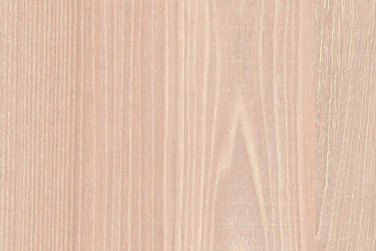 TA-026 White Elm Neo 