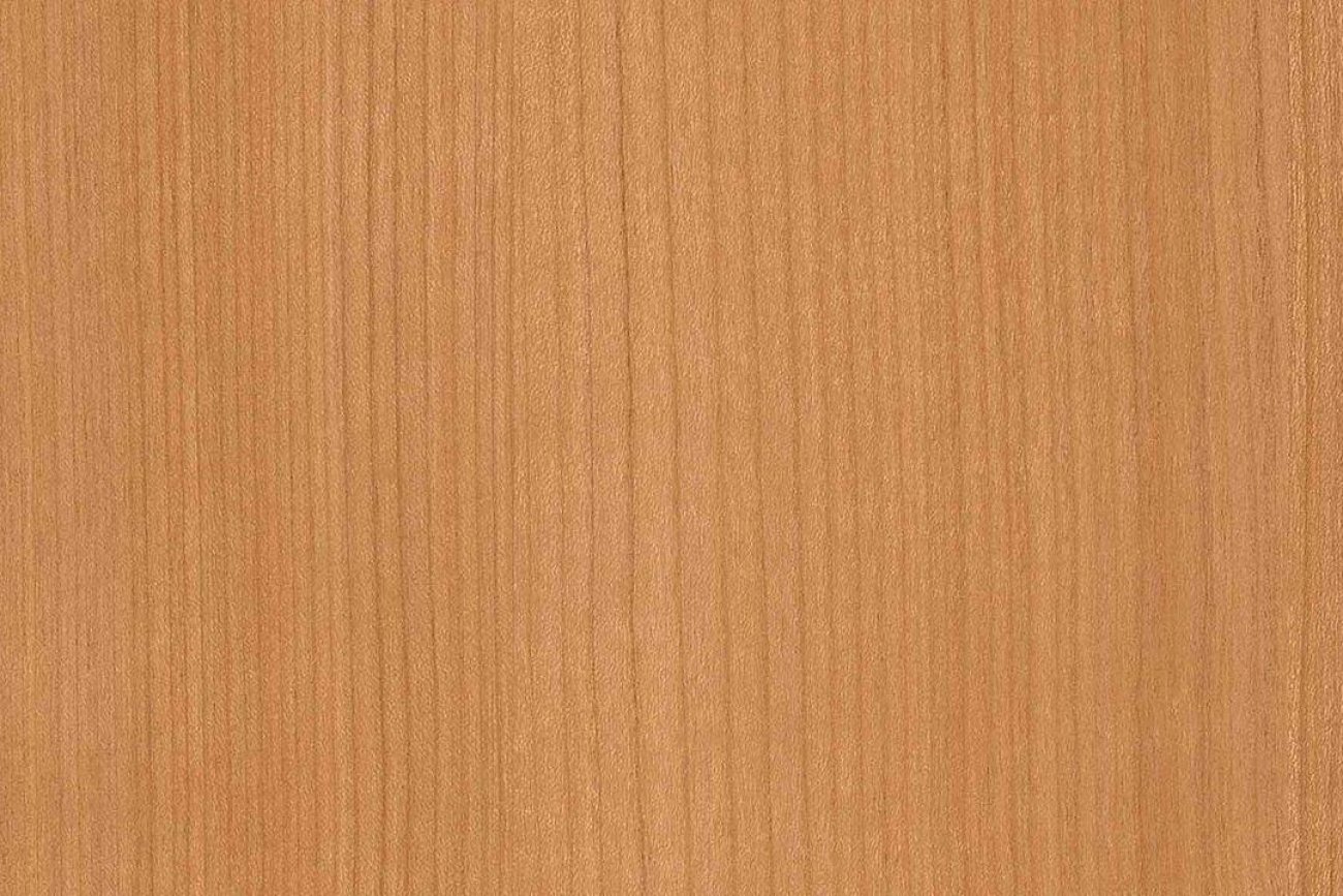 TE-835 Raffine Cherry L