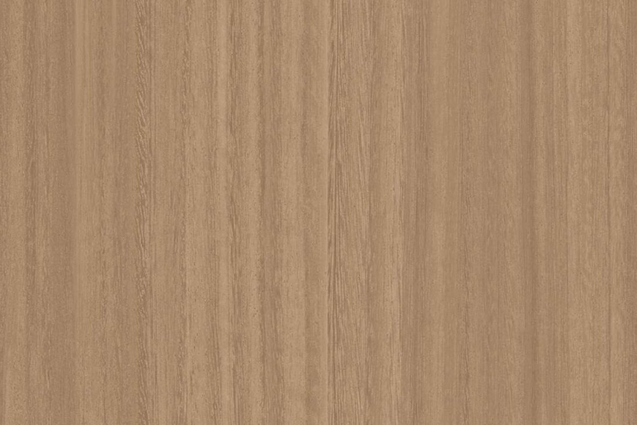 TE-SN2095 Saloon Eucalyptus G