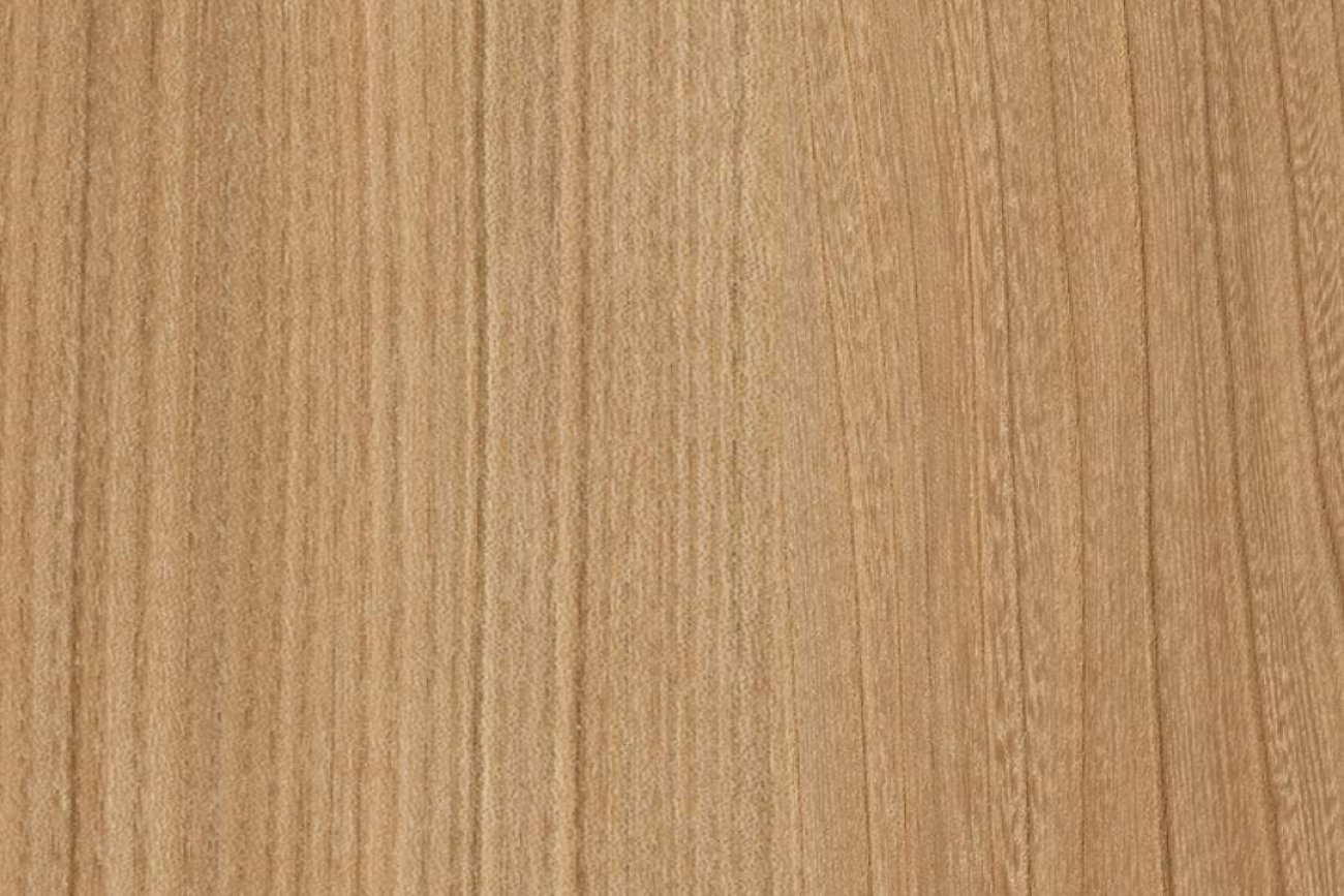 TE-SN2098 Humming Elm N