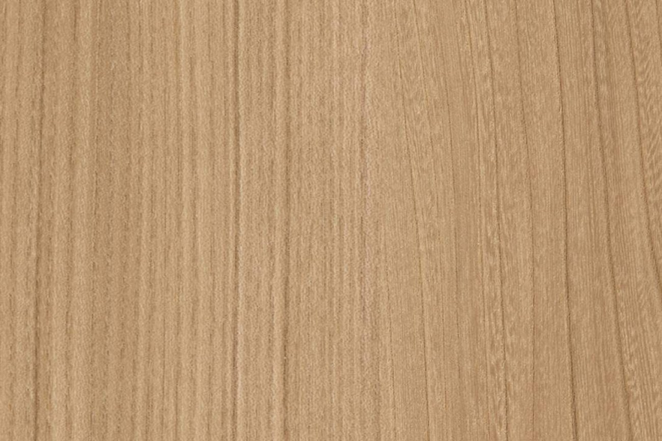 TE-SN2099 Humming Elm G